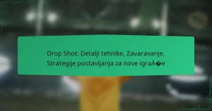 Drop Shot: Detalji tehnike, Zavaravanje, Strategije postavljanja za nove igrače